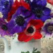 Anemones in jug