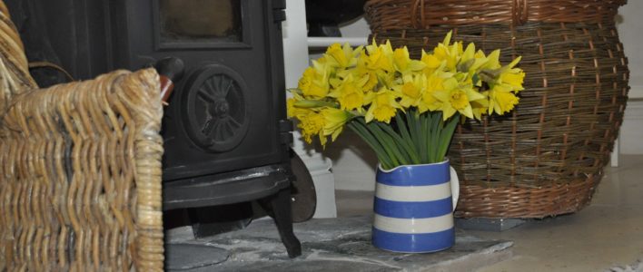 Daffodils in jug