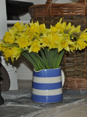 Daffodils from Cornwall