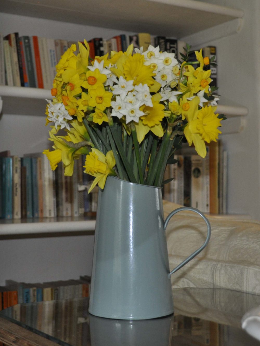 Daffodils and Narcissus mix - Cornish Blooms
