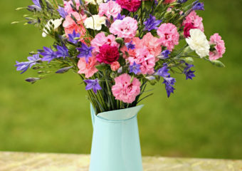 A bunch of Scented Pinks in white, pinks and purples with blue star shaped Brodiaea. Vase not included.