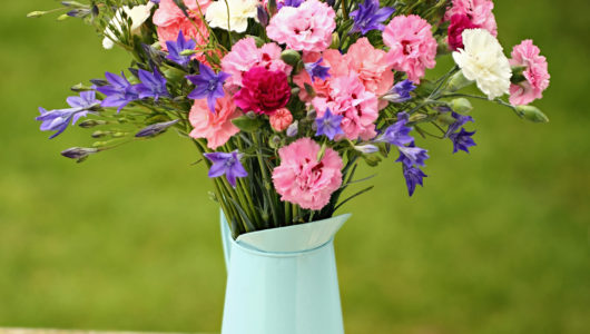 A bunch of Scented Pinks in white, pinks and purples with blue star shaped Brodiaea. Vase not included.