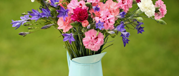 A bunch of Scented Pinks in white, pinks and purples with blue star shaped Brodiaea. Vase not included.