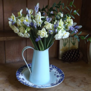 Scillas and Scented Narcissi