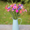 cornish pinks, kaffirs, cornflower