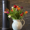 jug of tulips