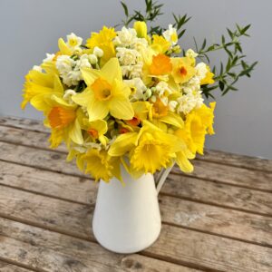 Daffodils and Narcissus