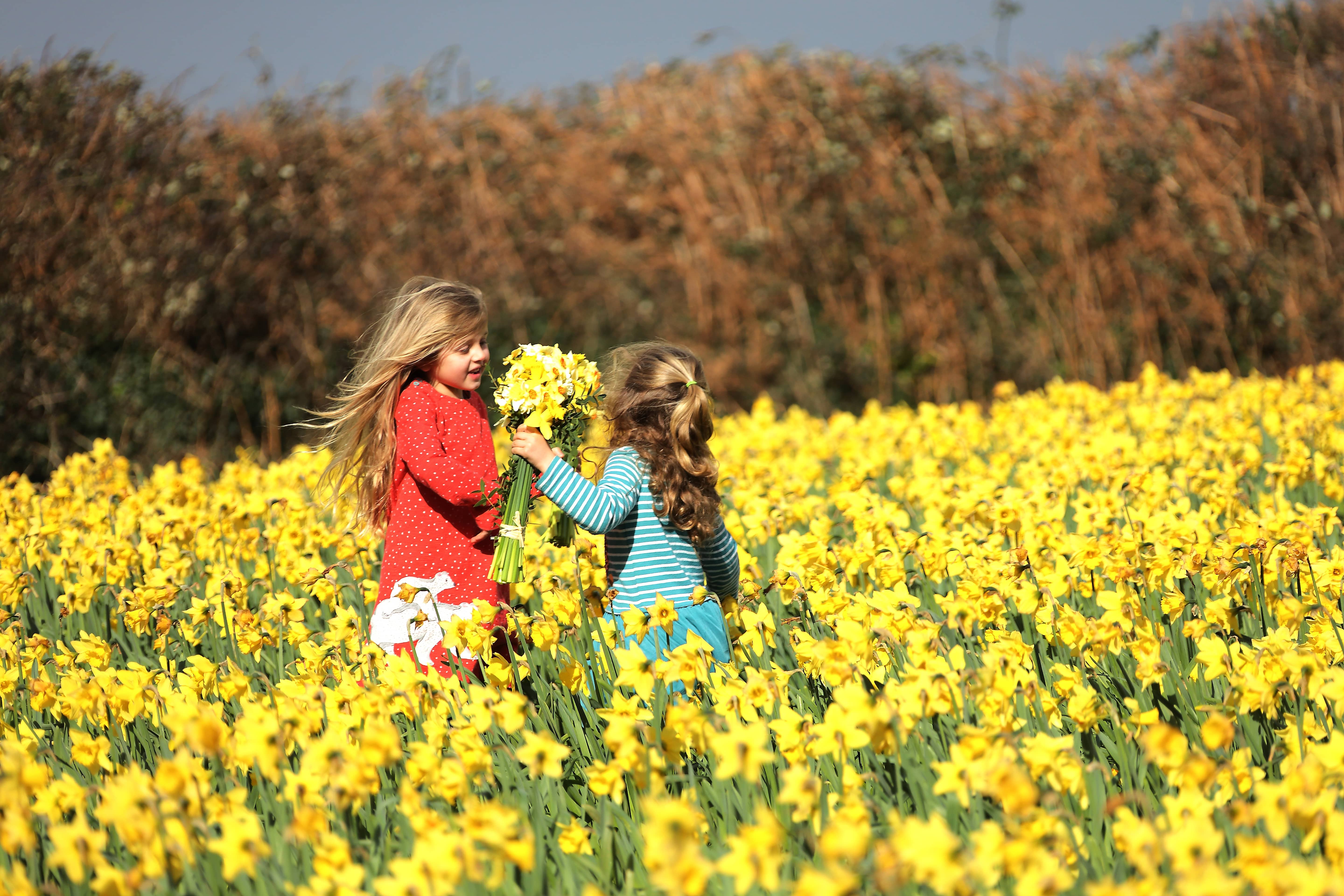 Flower girls