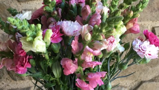 Scented Pinks and Snapdragons - a mix of Pinks in shades of white, pink and purple, with mixed colour Snapdragons. Fresh cut flowers. Vase not included.