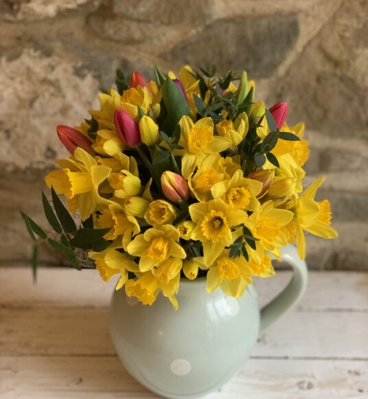 Daffodils and Tulips - Cornish Blooms