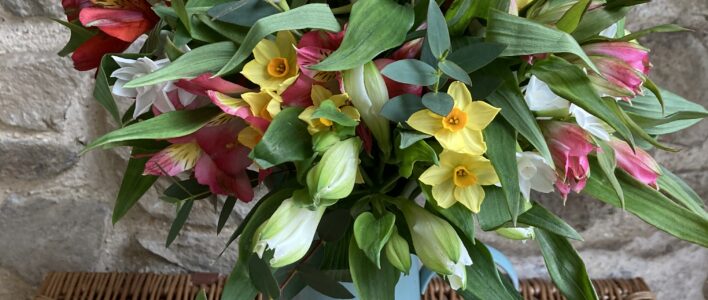 A blue tin jug filled with Cornish Alstroemeria in mixed colours, White and Yellow fragrant Narcissi and Cornish Eucalyptus.