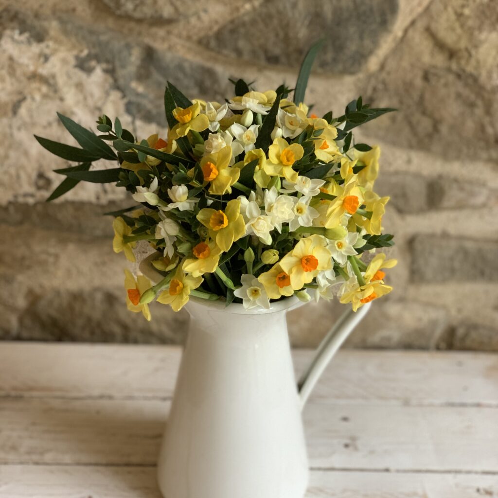 Letterbox Flowers Archives Cornish Blooms