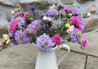 A bunch of Pinks and Scabious. The 'Pinks' are shades of Pink, White, Peach and Red and the Scabious are described as 'Blue' but appear Lilac in colour. Vase not included.