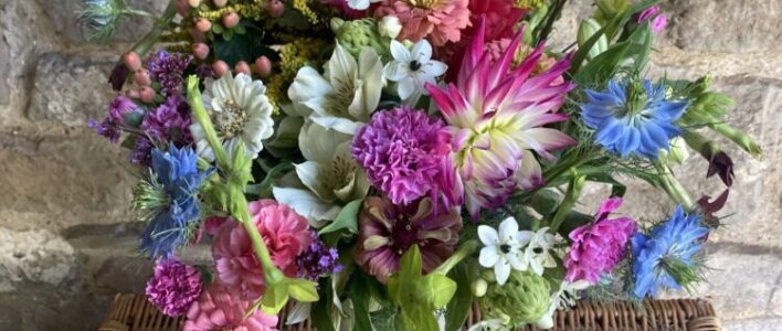 Welcome Cornish Blooms