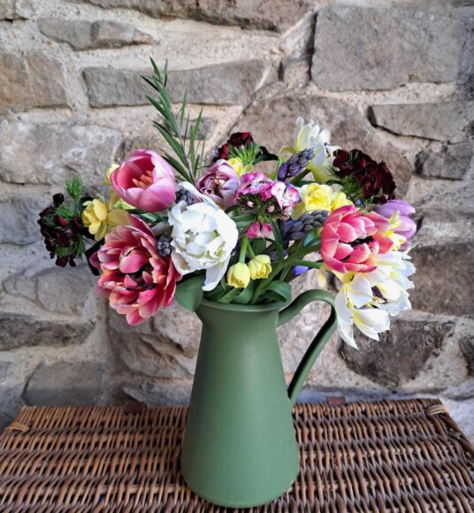 A Spring Posy of yellow Narcissi, Sweet William in mixed colours, blue Scillas and mixed colour Tulips. Vase not included.