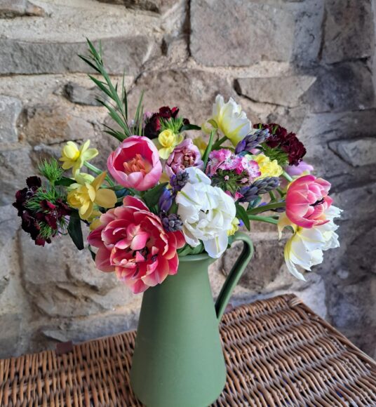 A Spring Posy of yellow Narcissi, Sweet William in mixed colours, blue Scillas and mixed colour Tulips. Vase not included.