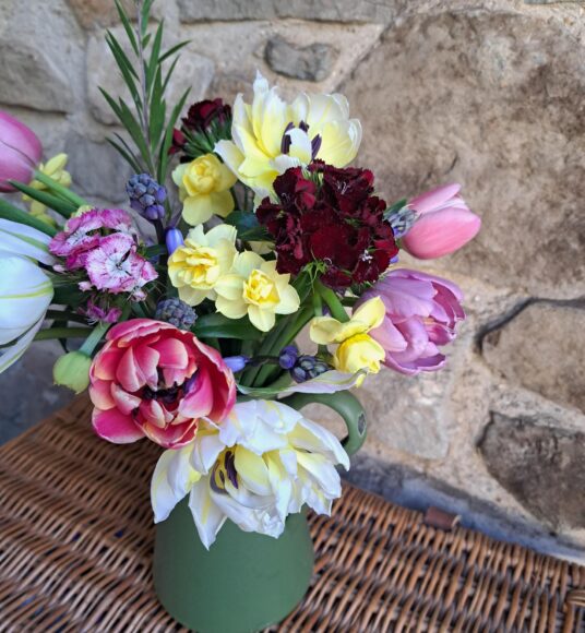 Close up of a Spring Posy of yellow Narcissi, Sweet William in mixed colours, blue Scillas and mixed colour Tulips. Vase not included.