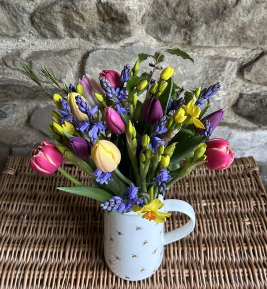A bunch of scented mixed Narcissi, blue Cornish Scillas and pretty mixed colour tulips. Vase not included.