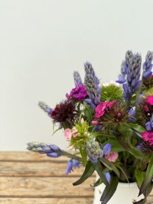 A close up of Cornish Scillas and Cornish Sweet William