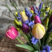 A close up of a bunch of scented mixed Narcissi, blue Cornish Scillas and pretty mixed colour tulips.