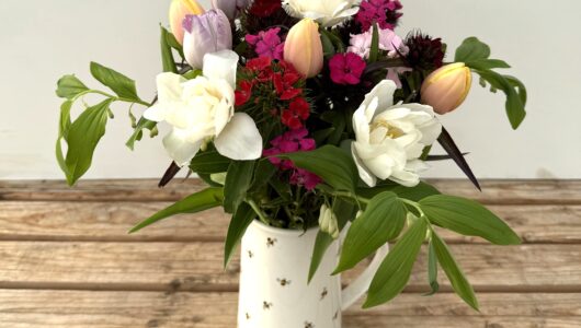 Bouquet of Sweet William & Tulips - featuring Sweet William in shades of white/pink & purple with Tulips in mixed colours. Vase not included.