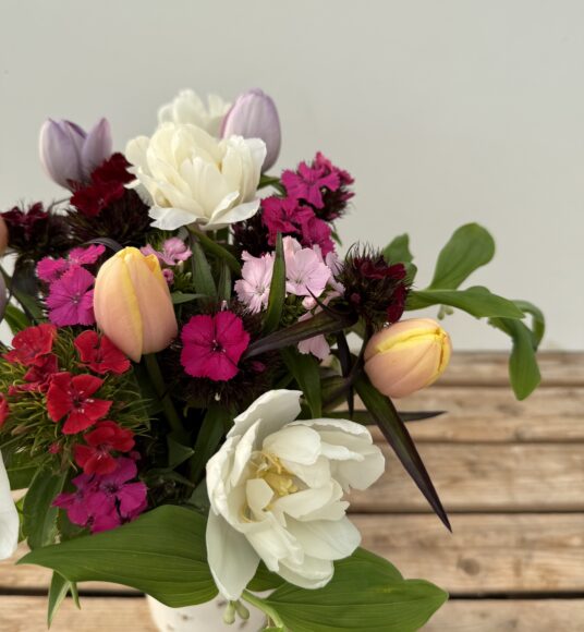 Close up of bouquet of Sweet William & Tulips - featuring Sweet William in shades of white/pink & purple with Tulips in mixed colours. Vase not included.