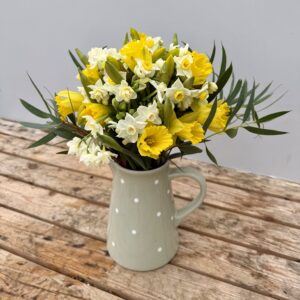 Posy of Daffodils & Narcissi