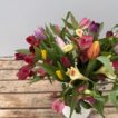 A close up of a bunch of mixed colour Cornish Alstroemeria with mixed colour British Tulips, arranged in a white jug vase.