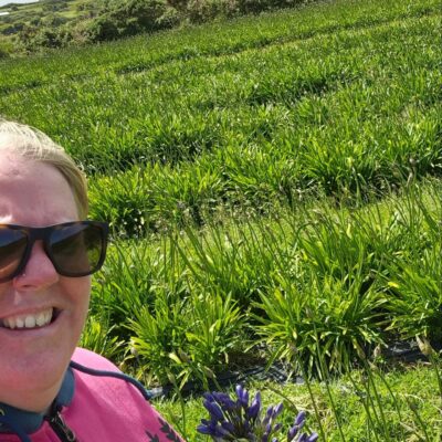 Agapanthus flower Grower, Jess, in a field of Agapanthus.