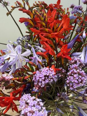 A close up of Agapanthus, Crocosmia & Verbena