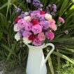 Scented Pinks and Verbena in a white tin jug