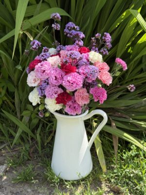Scented Pinks and Verbena in a white tin jug
