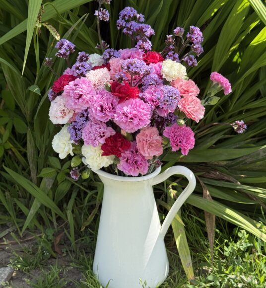 Scented Pinks and Verbena in a white tin jug