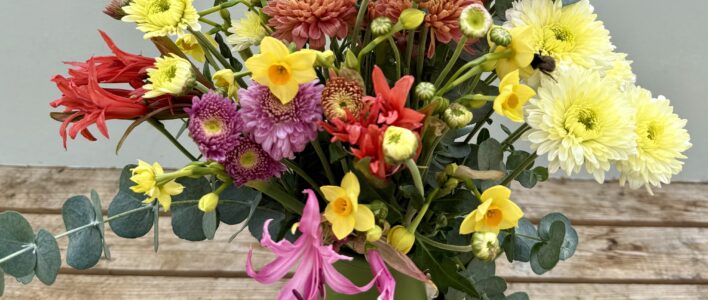 A mixed bouquet of Narcissi, Nerines and Chrysanthemums in a green tin jug